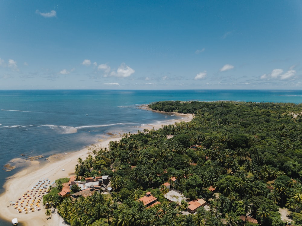 Aerial view of the tropical coastline of the Maraú Peninsula, Bahia