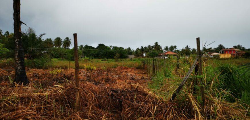 Lote #2 –  500m2 na Praia de Saquaira – 🌅 Oportunidade Imperdível na Bahia! 🌴