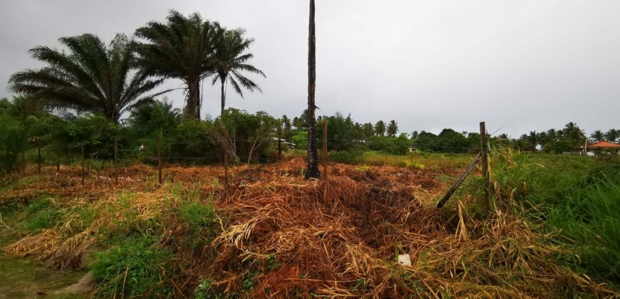 Lote #2 –  500m2 na Praia de Saquaira – 🌅 Oportunidade Imperdível na Bahia! 🌴